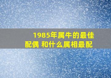 1985年属牛的最佳配偶 和什么属相最配